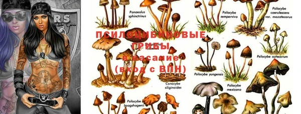 mix Белокуриха